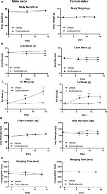 Sexual Dimorphism in Transcriptional and Functional Glucocorticoid Effects on Mouse Skeletal Muscle